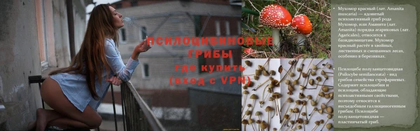 каннабис Алексин