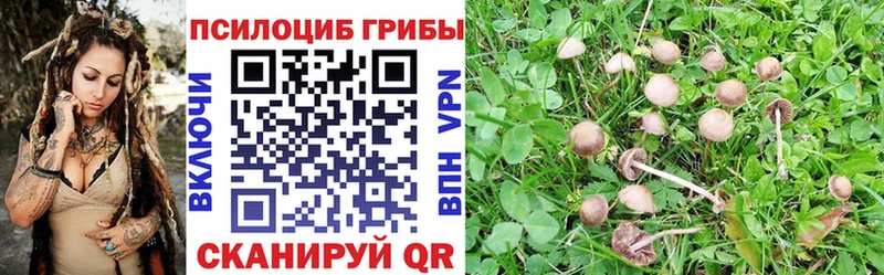 Галлюциногенные грибы GOLDEN TEACHER  Белоозёрский 